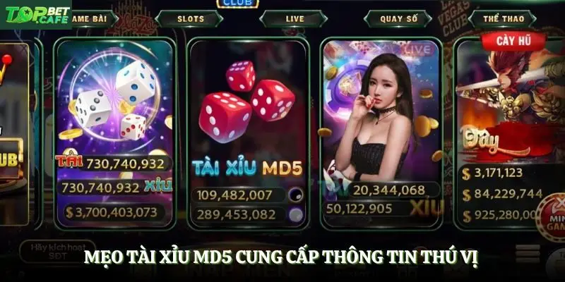 Mẹo tài xỉu MD5 cung cấp thông tin thú vị